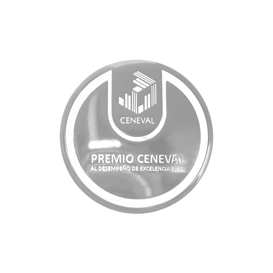 Moneda personalizada de plata  (Imagen ilustrativa, no disponible para su venta)