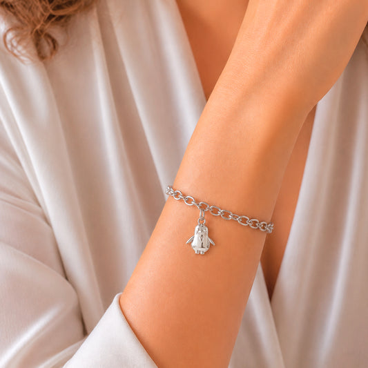 Charm pingüino en plata de ley